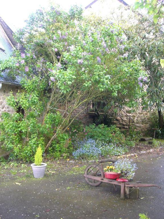 Gites De La Ferme Auberge De Mesauboin Billé Zewnętrze zdjęcie